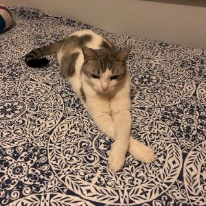 Meet your Posher, Maria